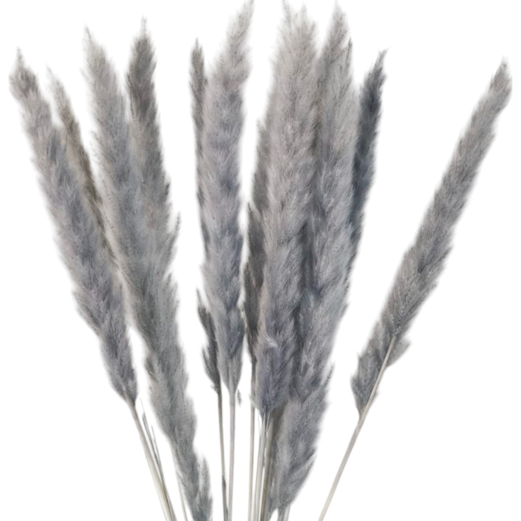 Alilang Decorative Mixed Dried Flower Bouquet with Textured Accents for Home Decoration