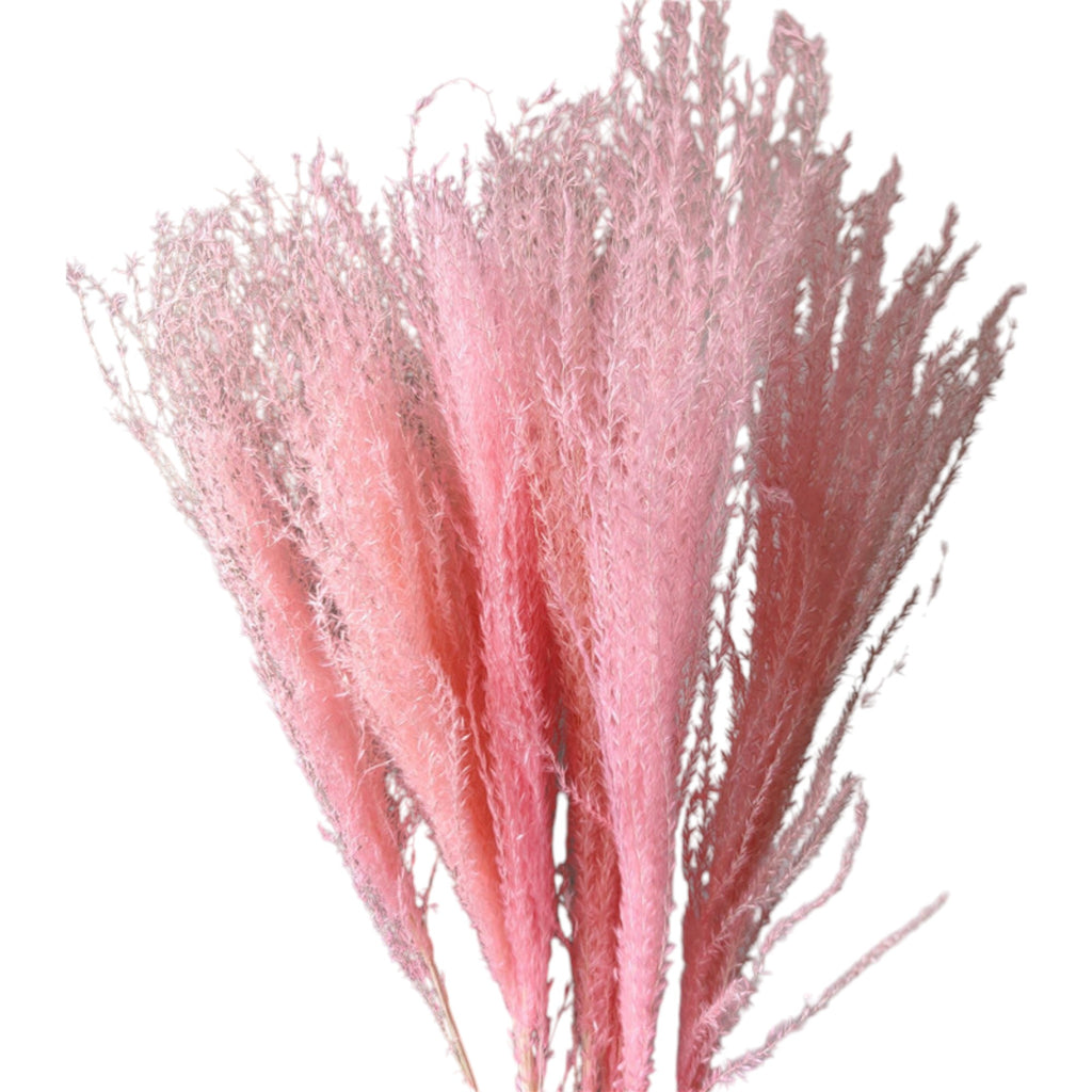 Alilang Decorative Mixed Dried Flower Bouquet for Home Decoration and Event Arrangements