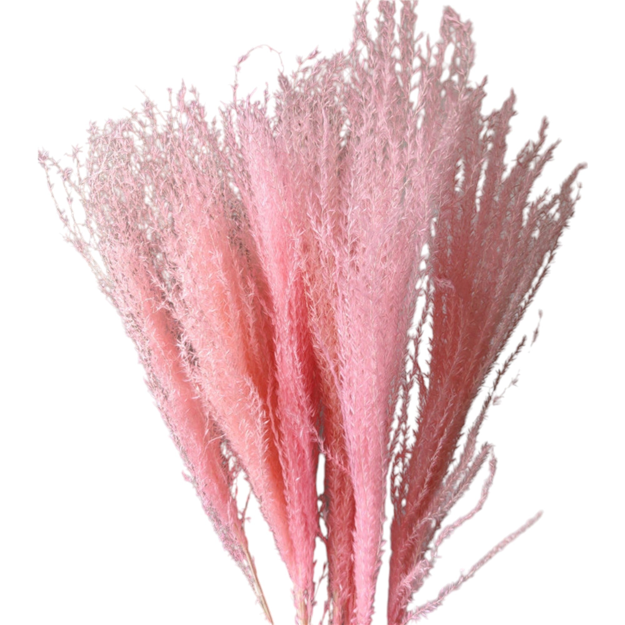 Alilang Decorative Mixed Dried Flower Bouquet for Home Decoration and Event Arrangements
