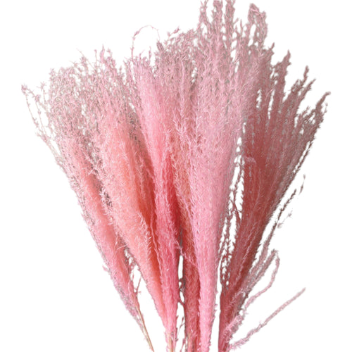 Alilang Decorative Mixed Dried Flower Bouquet for Home Decoration and Event Arrangements