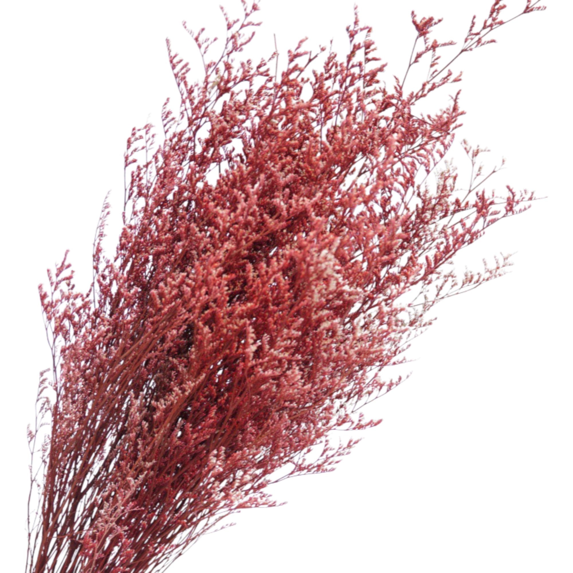 Alilang Decorative Mixed Dried Flower Bouquet for Home Decoration and Event Arrangements