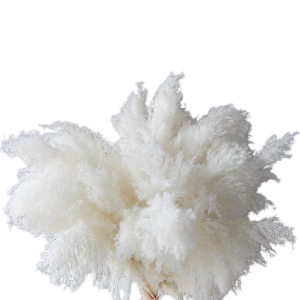 Alilang Decorative Mixed Dried Flower Bouquet for Home Decoration and Event Arrangements