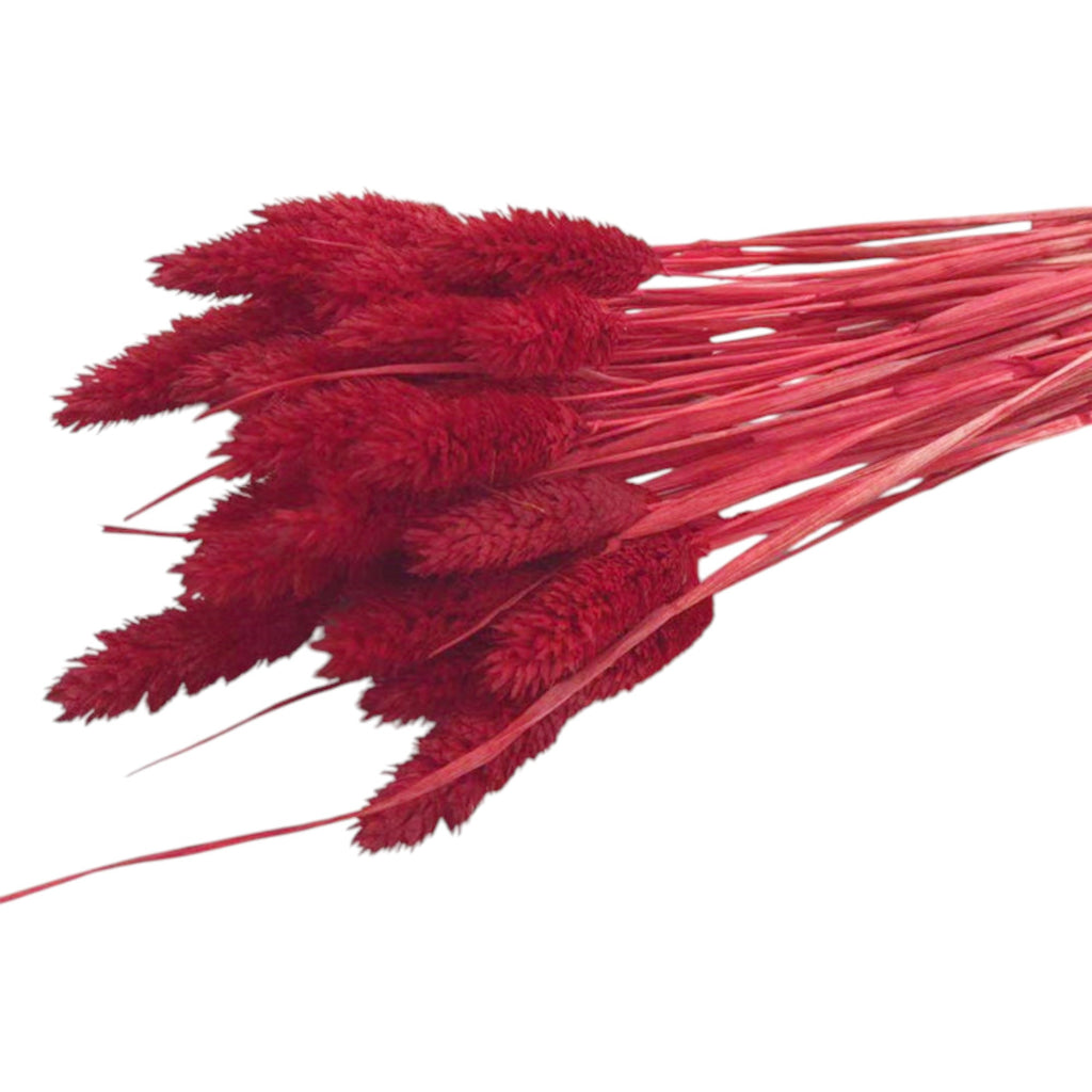 Alilang Decorative Mixed Dried Flower Bouquet for Home Decoration and Event Arrangements
