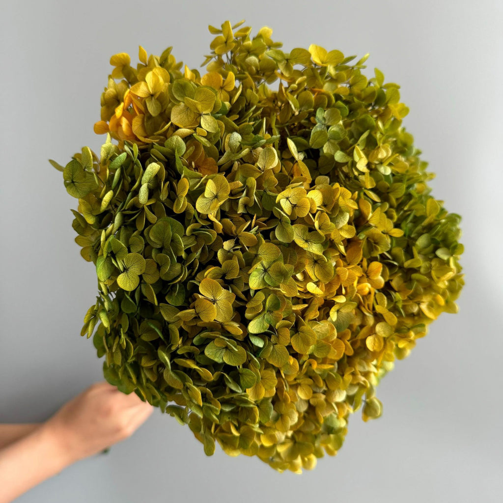 Alilang Decorative Dried Hydrangea Blooms for Home Decoration and Floral Arrangements