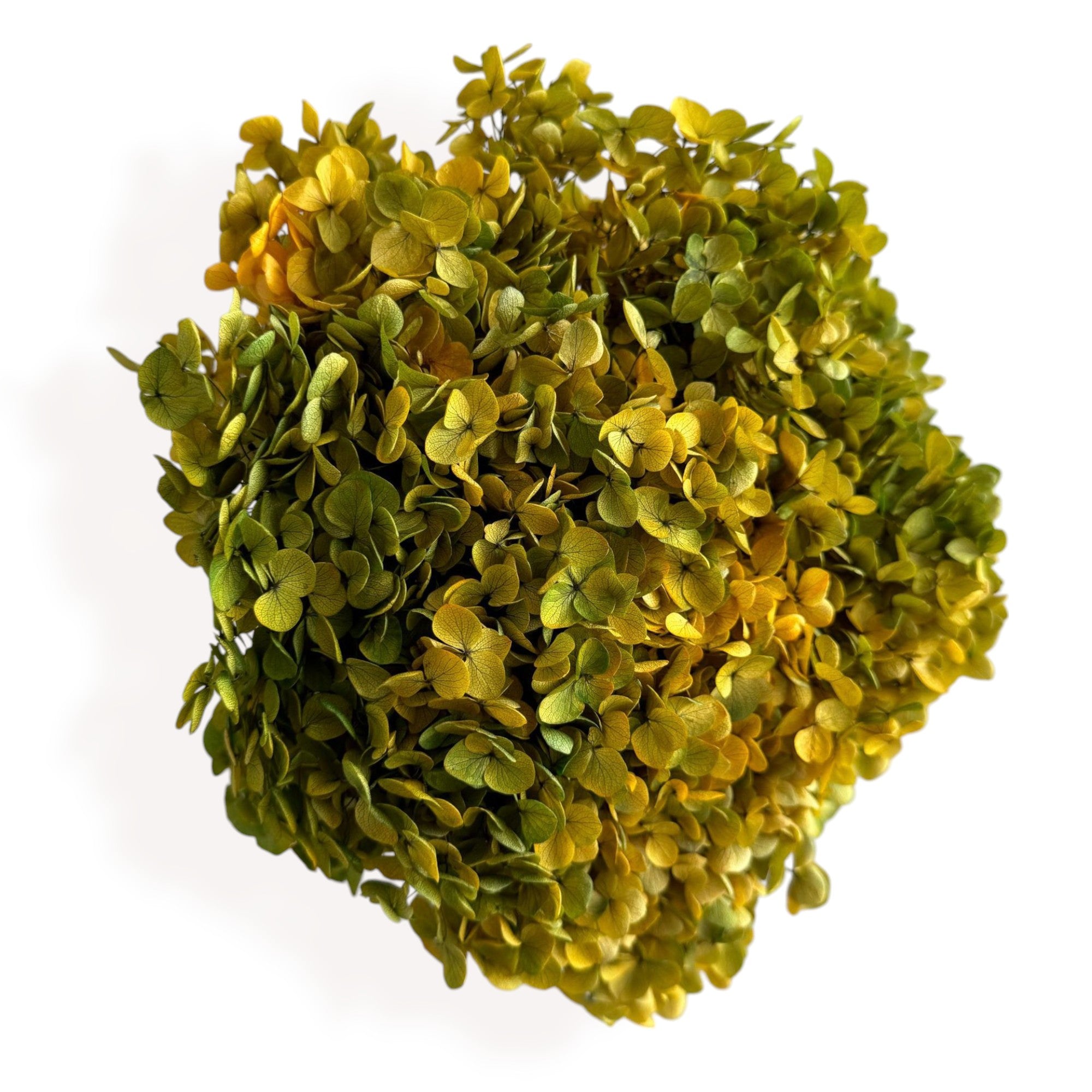 Alilang Decorative Dried Hydrangea Blooms for Home Decoration and Floral Arrangements