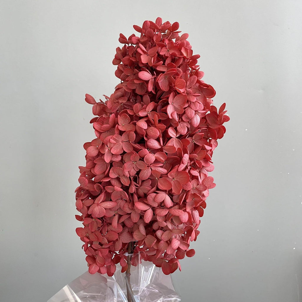 Alilang Decorative Dried Hydrangea Blooms for Home Decoration and Floral Arrangements