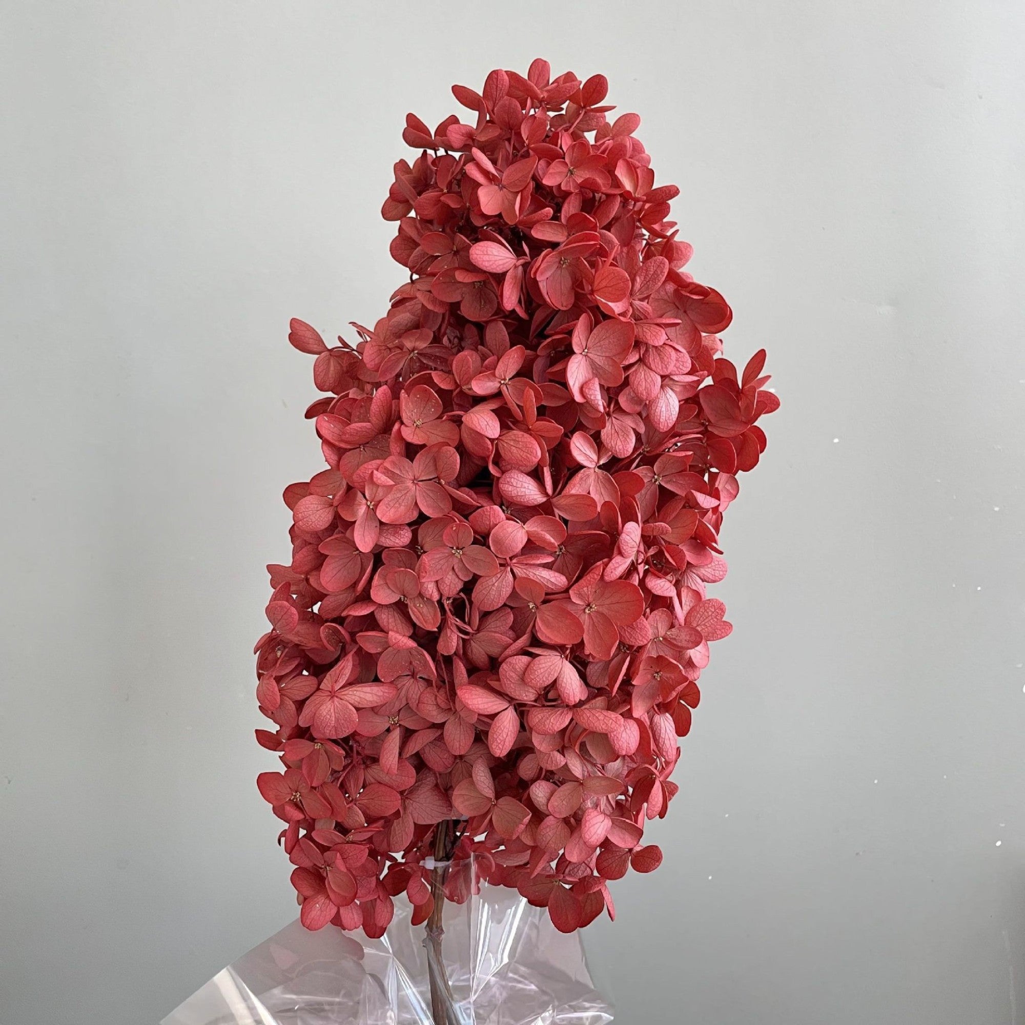 Alilang Decorative Dried Hydrangea Blooms for Home Decoration and Floral Arrangements