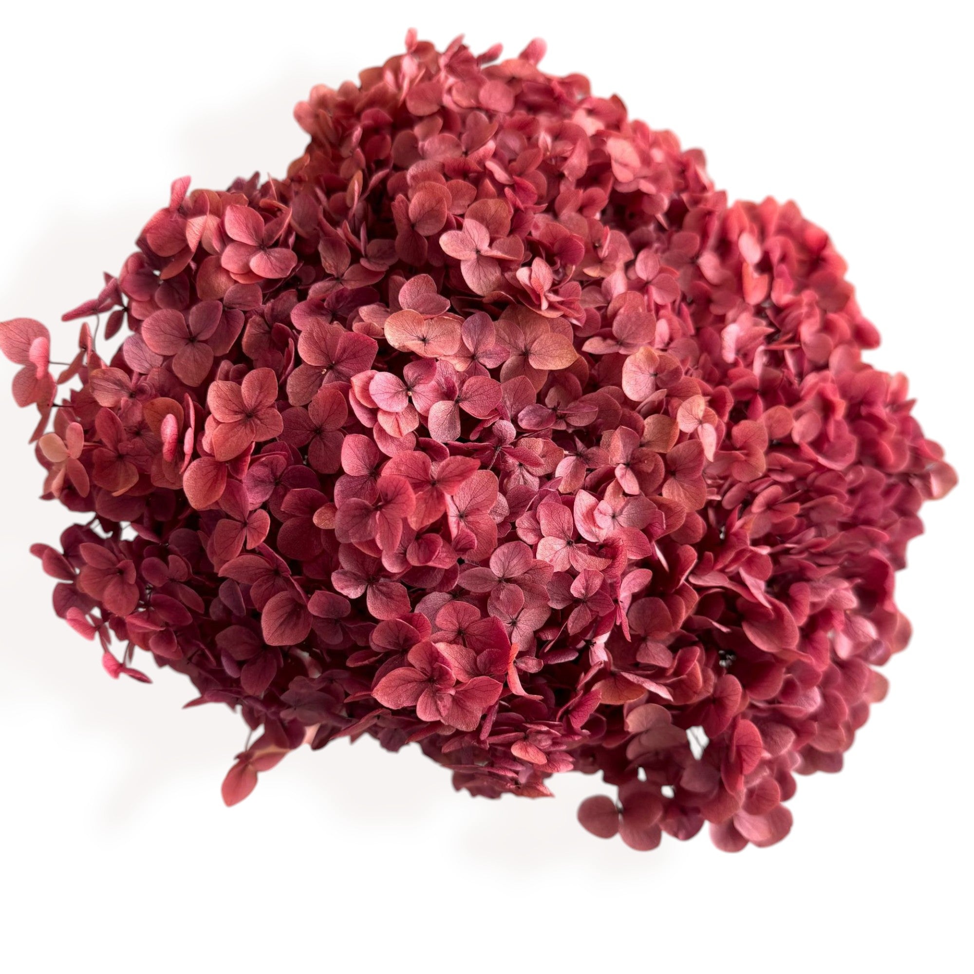 Alilang Decorative Dried Hydrangea Blooms for Home Decoration and Floral Arrangements