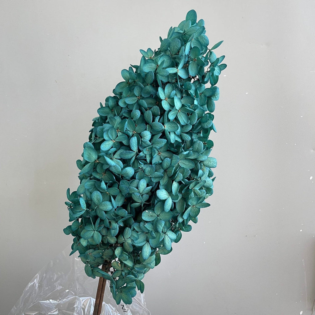 Alilang Decorative Dried Hydrangea Blooms for Home Decoration and Floral Arrangements