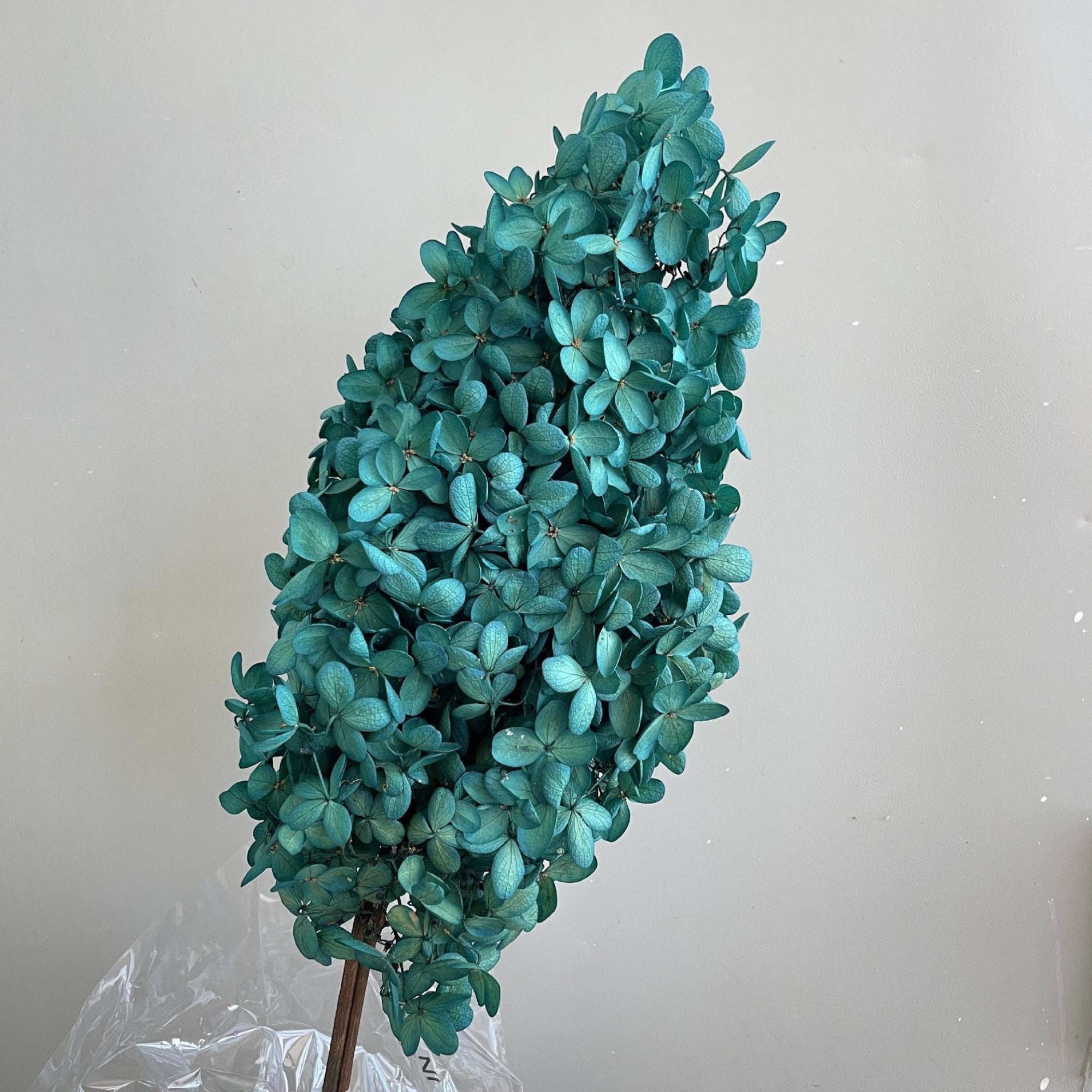 Alilang Decorative Dried Hydrangea Blooms for Home Decoration and Floral Arrangements