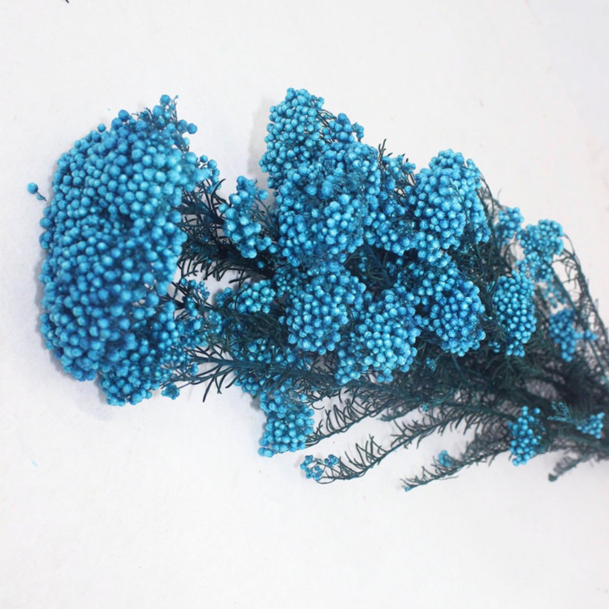 Alilang Decorative Dried Berry Stems for Home Decoration and Floral Arrangements
