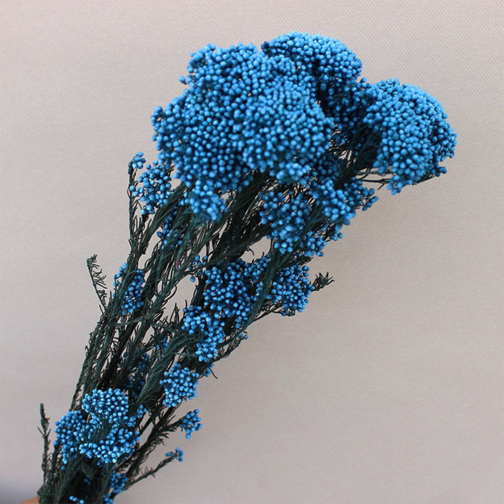 Alilang Decorative Dried Berry Stems for Home Decoration and Floral Arrangements