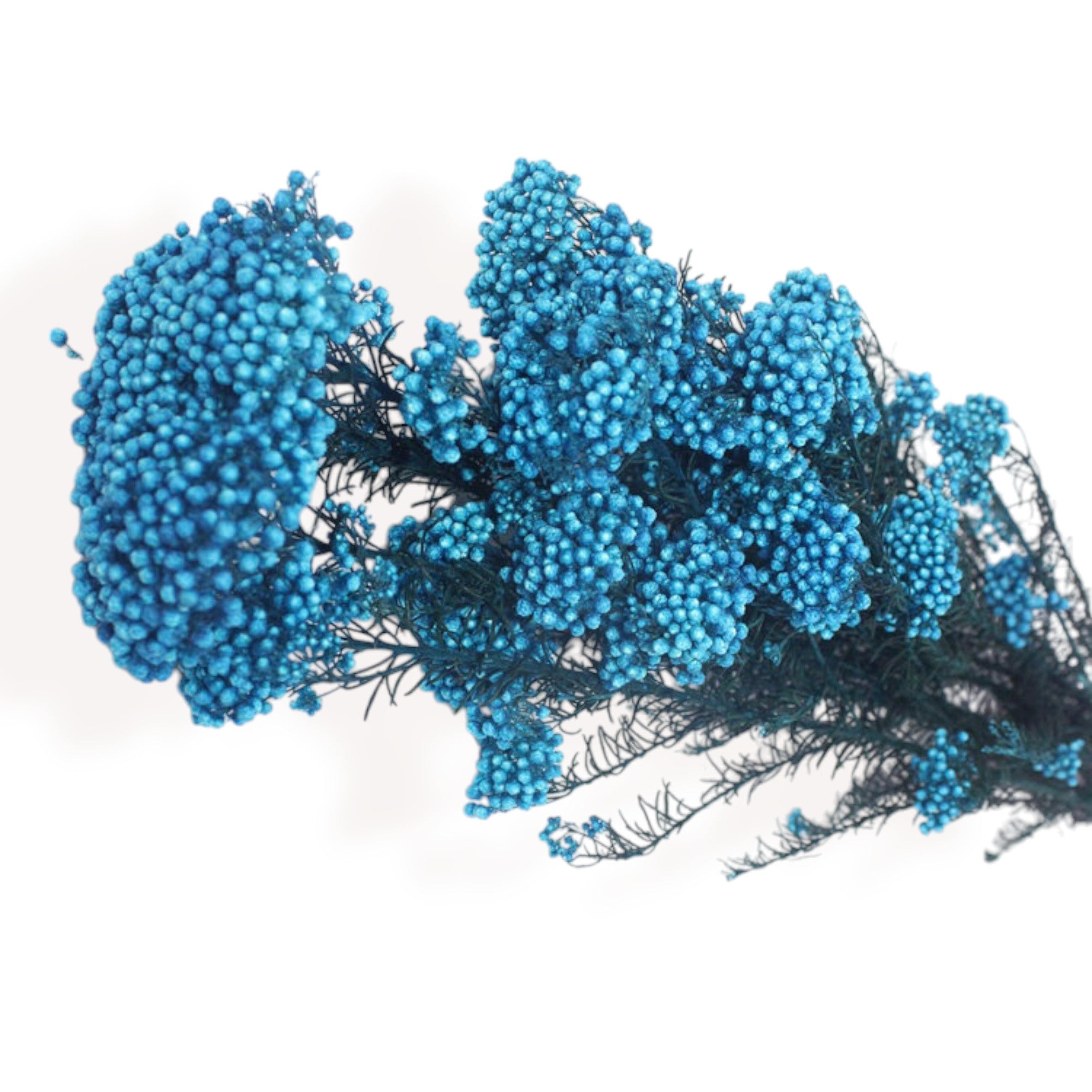 Alilang Decorative Dried Berry Stems for Home Decoration and Floral Arrangements