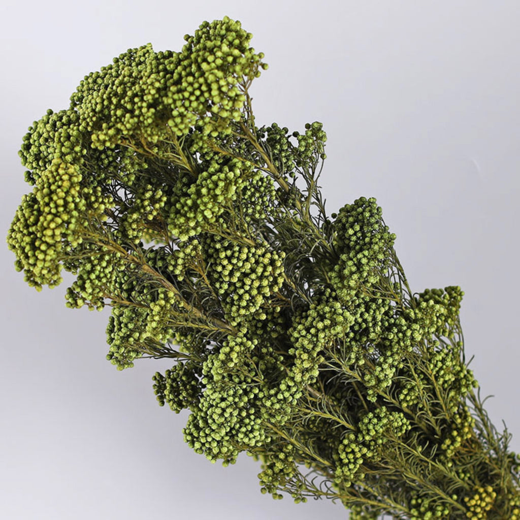 Alilang Decorative Dried Berry Stems for Home Decoration and Floral Arrangements