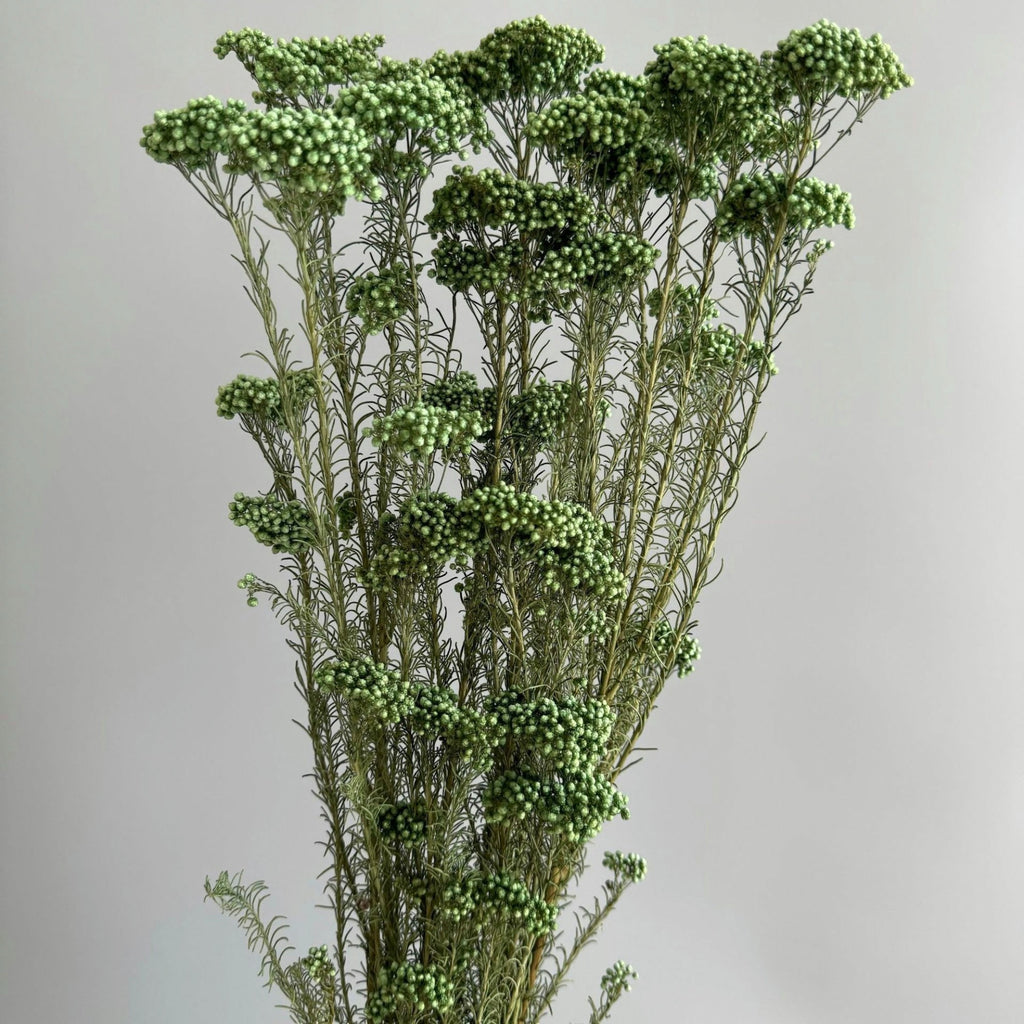 Alilang Decorative Dried Berry Stems for Home Decoration and Floral Arrangements