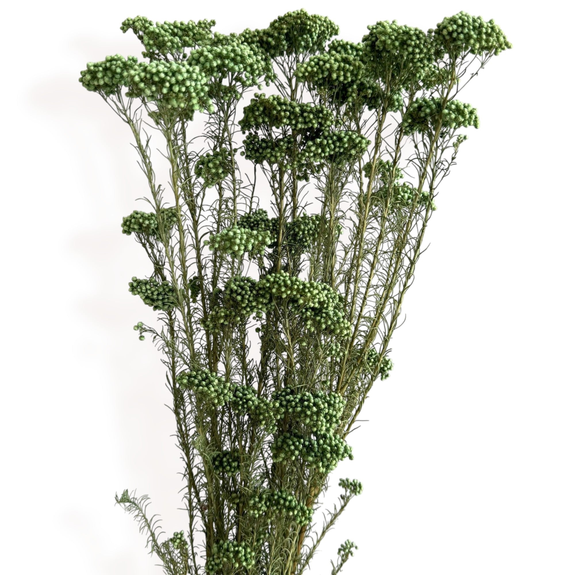 Alilang Decorative Dried Berry Stems for Home Decoration and Floral Arrangements