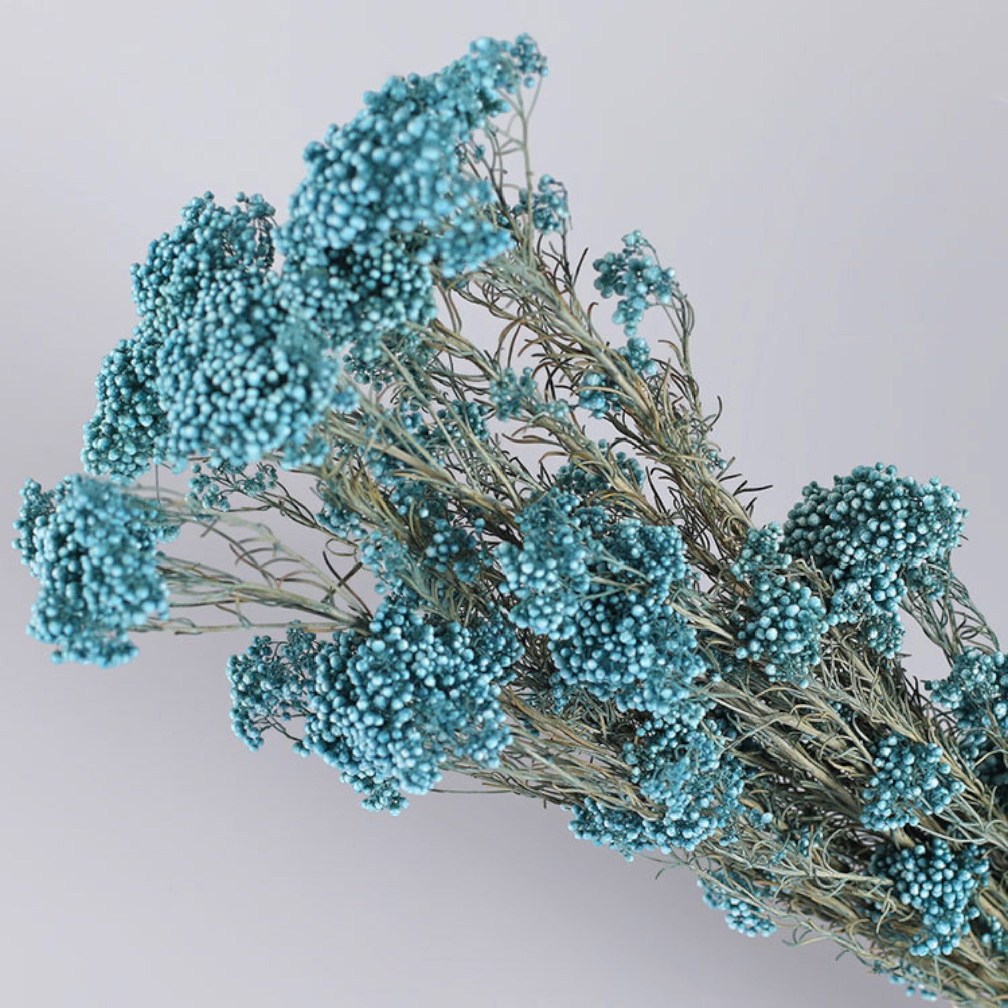 Alilang Decorative Dried Berry Stems for Home Decoration and Floral Arrangements