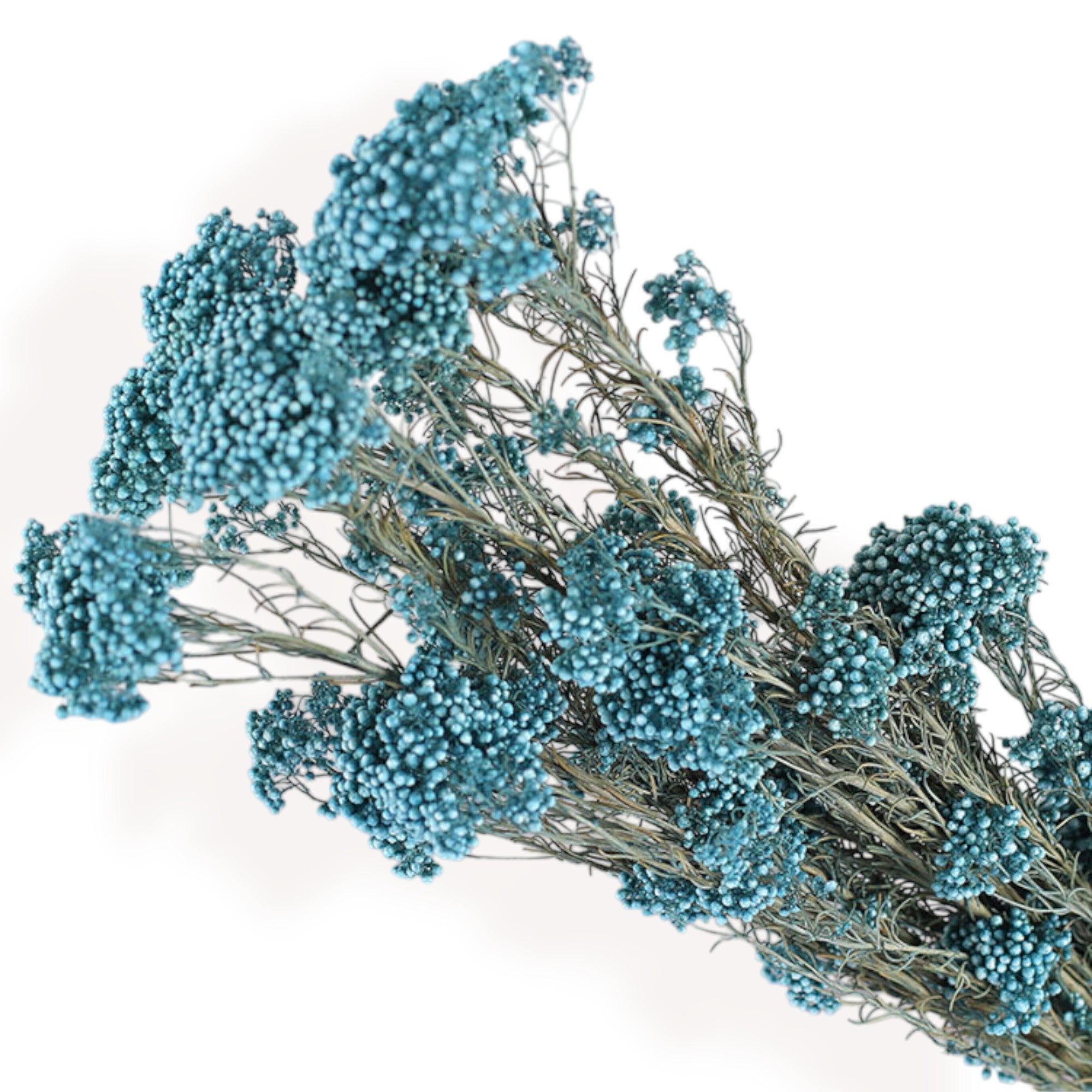 Alilang Decorative Dried Berry Stems for Home Decoration and Floral Arrangements