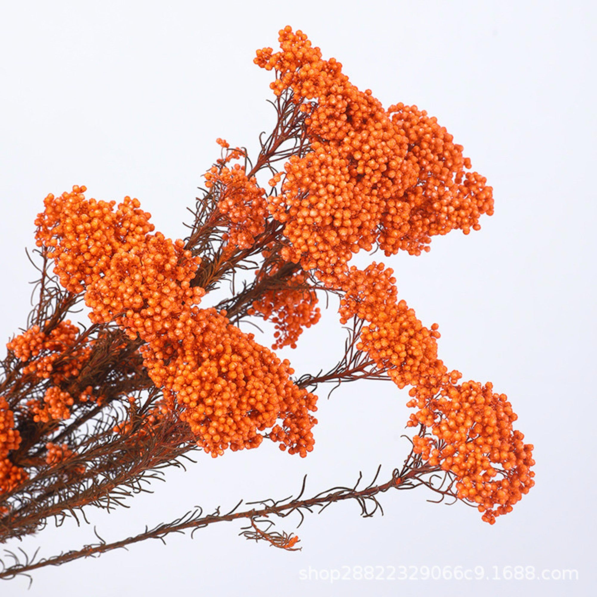 Alilang Decorative Dried Berry Stems for Home Decoration and Floral Arrangements