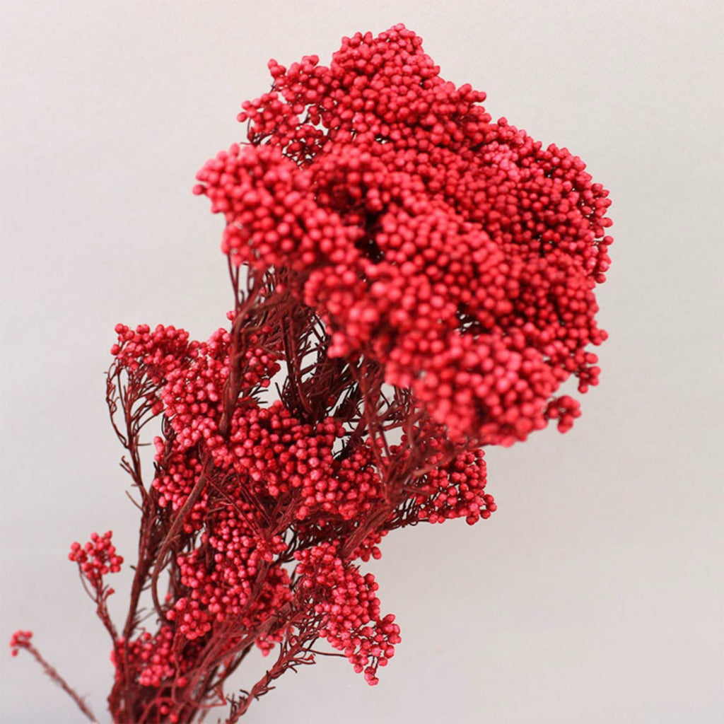 Alilang Decorative Dried Berry Stems for Home Decoration and Floral Arrangements