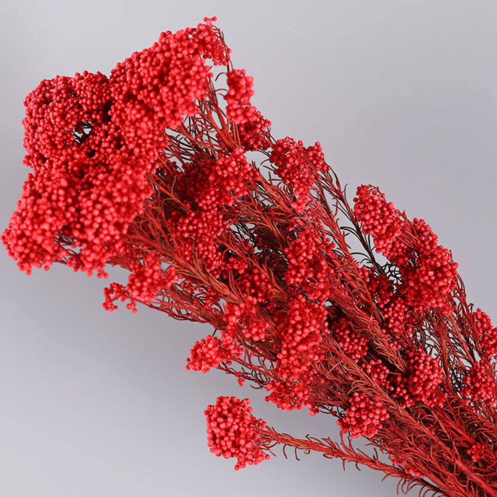 Alilang Decorative Dried Berry Stems for Home Decoration and Floral Arrangements