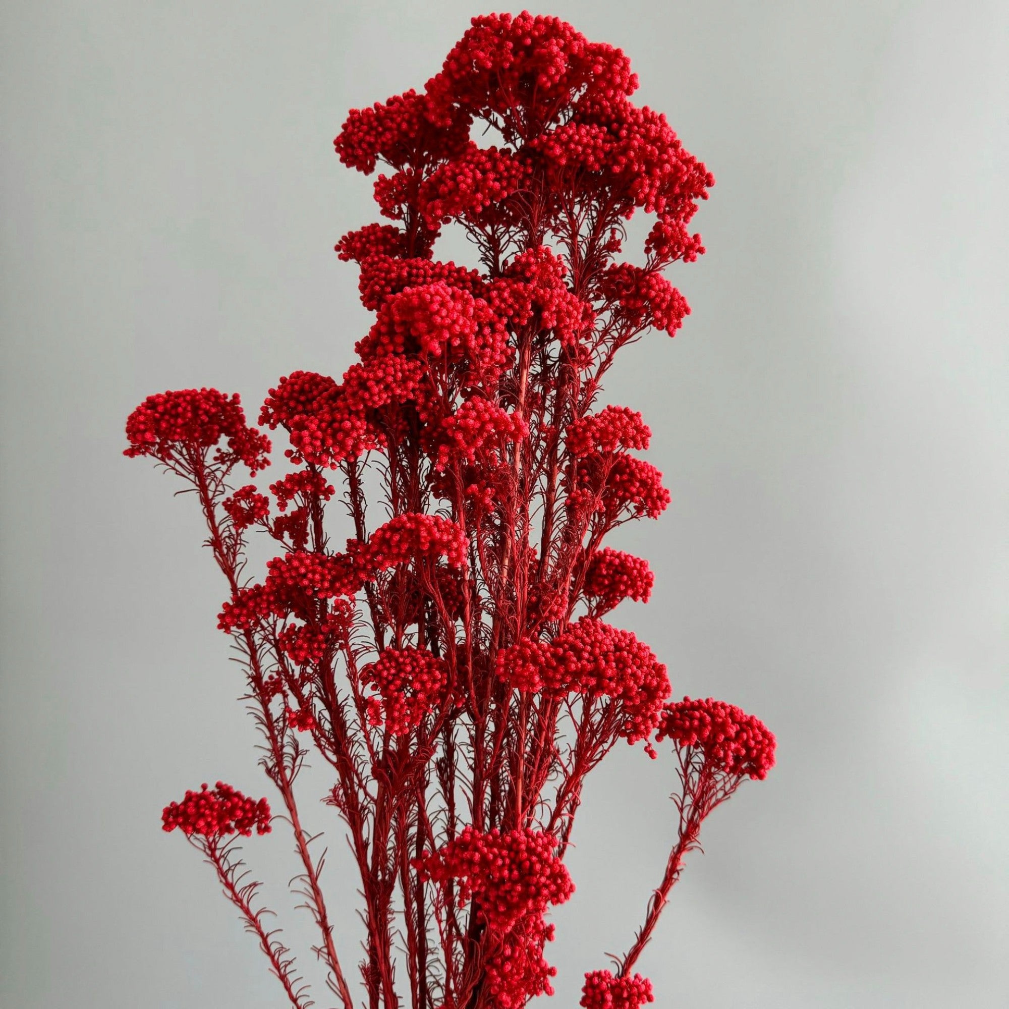 Alilang Decorative Dried Berry Stems for Home Decoration and Floral Arrangements