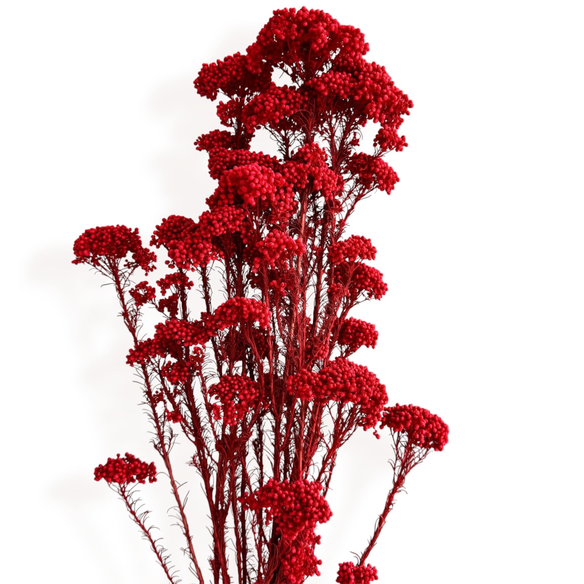 Alilang Decorative Dried Berry Stems for Home Decoration and Floral Arrangements