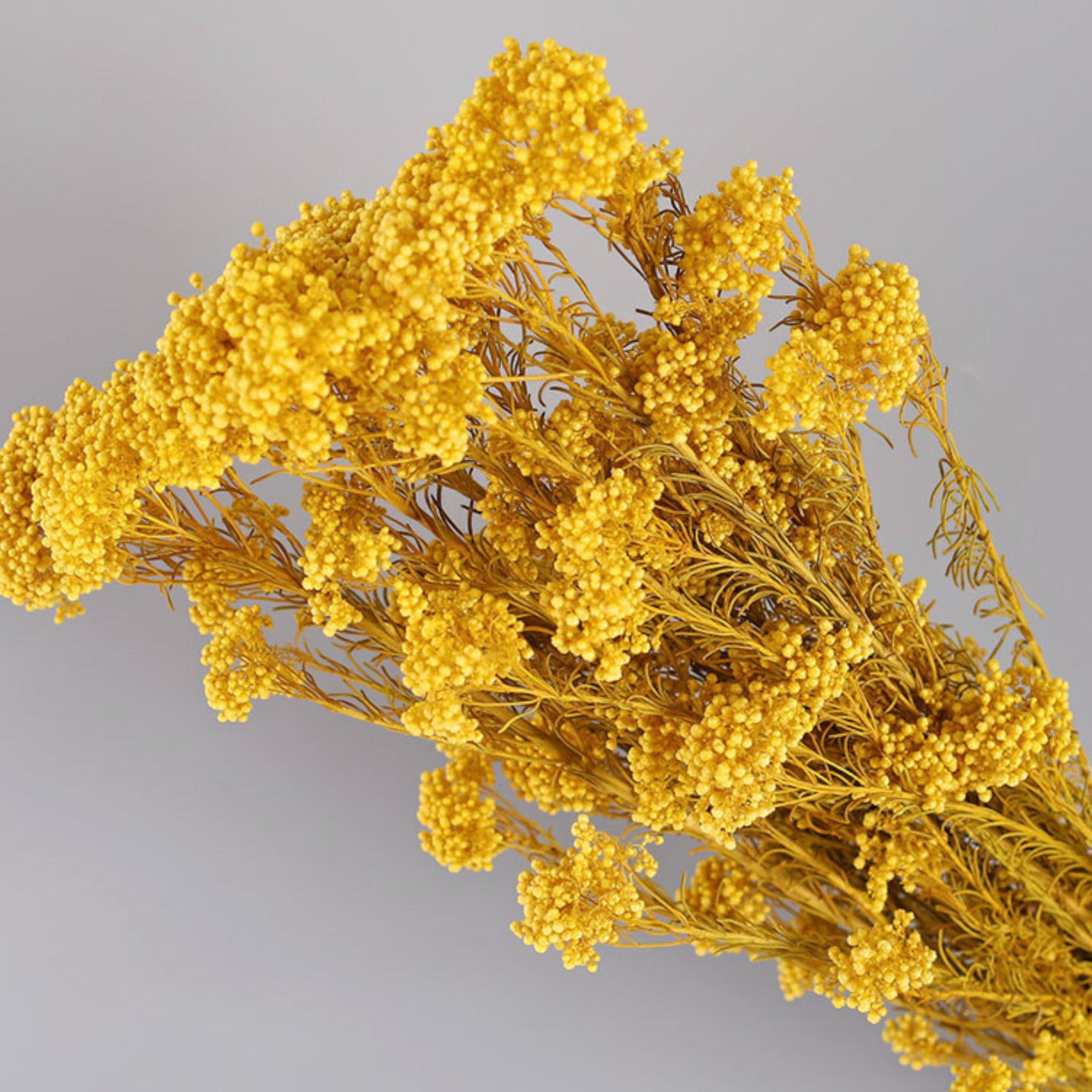Alilang Decorative Dried Berry Stems for Home Decoration and Floral Arrangements