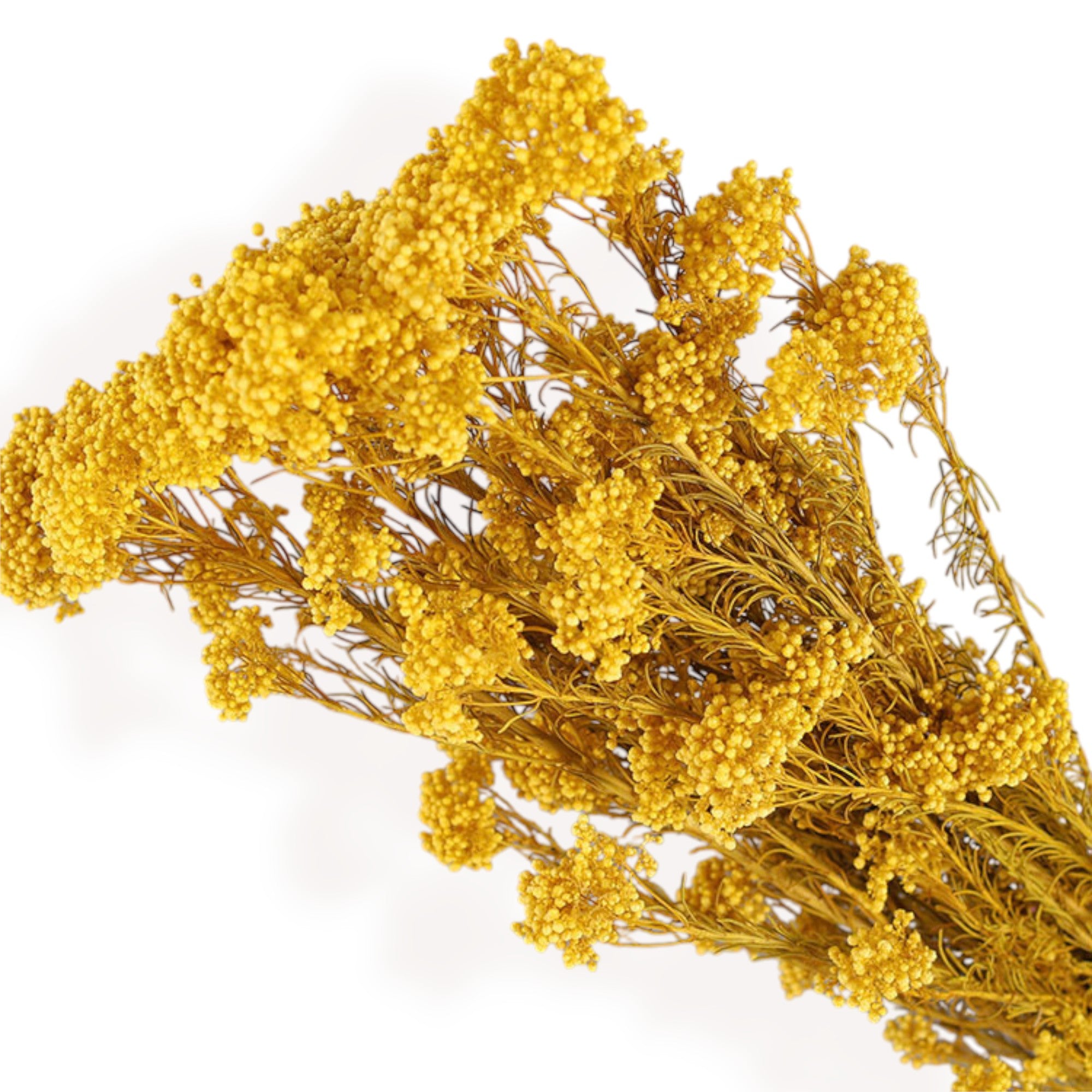 Alilang Decorative Dried Berry Stems for Home Decoration and Floral Arrangements