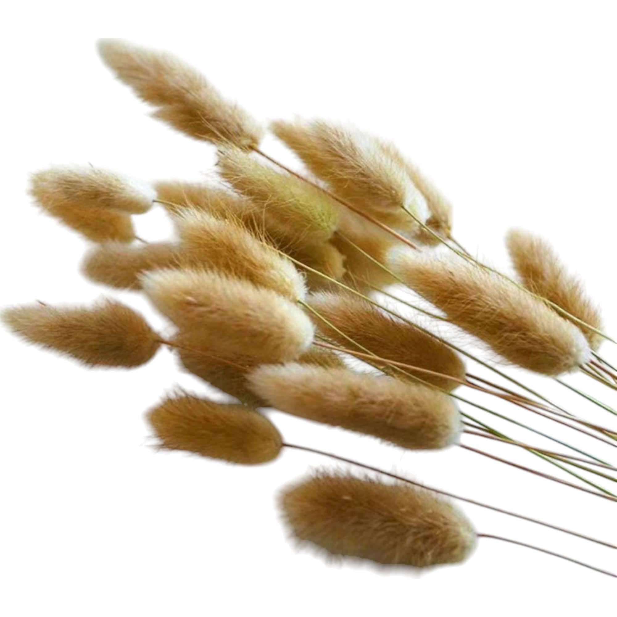 Alilang Decorative Dried Bouquet with Textured Floral Accents for Home Decoration and Gifts