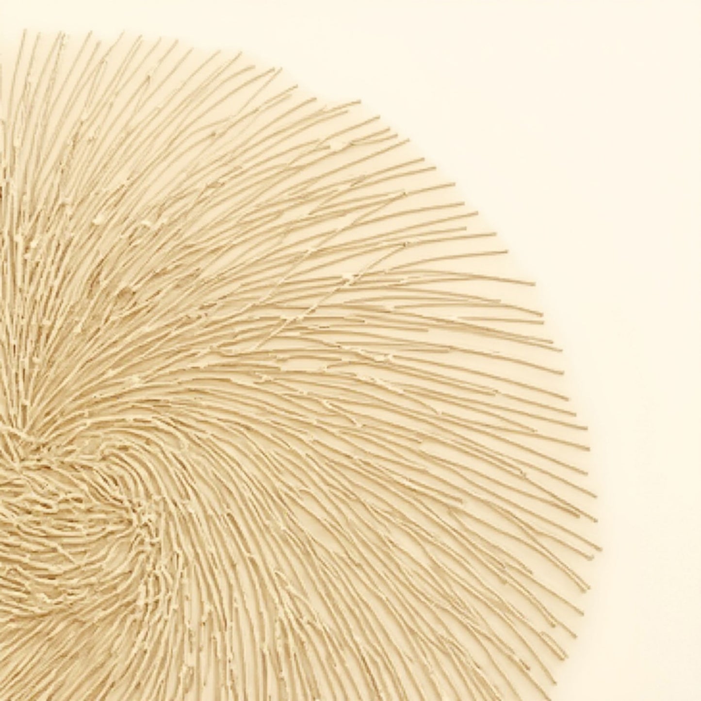 Anna-Kaci 4-Piece Round Spiral Woven Placemat with Textured Swirl Design