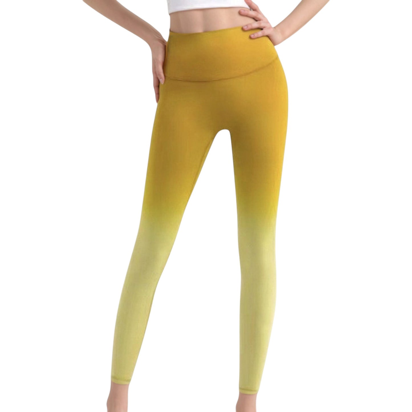 Anna-Kaci Active Women's High Waist Ombre Gradient Seamless Leggings with Wide Waistband