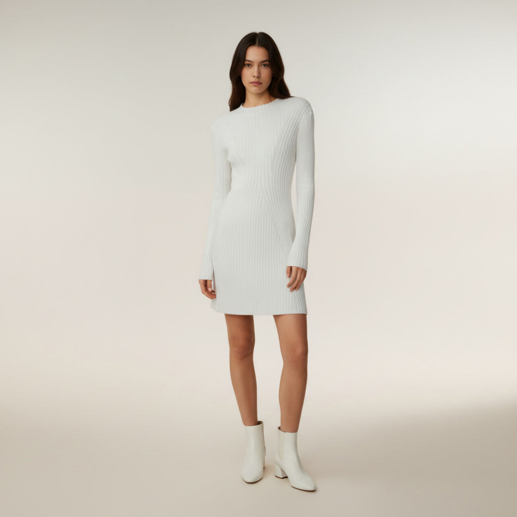 Anna-Kaci Women's Long Sleeve Ribbed Knit Mini Dress with Contoured Textured Paneling and Stretch Fit for a Flattering Silhouette