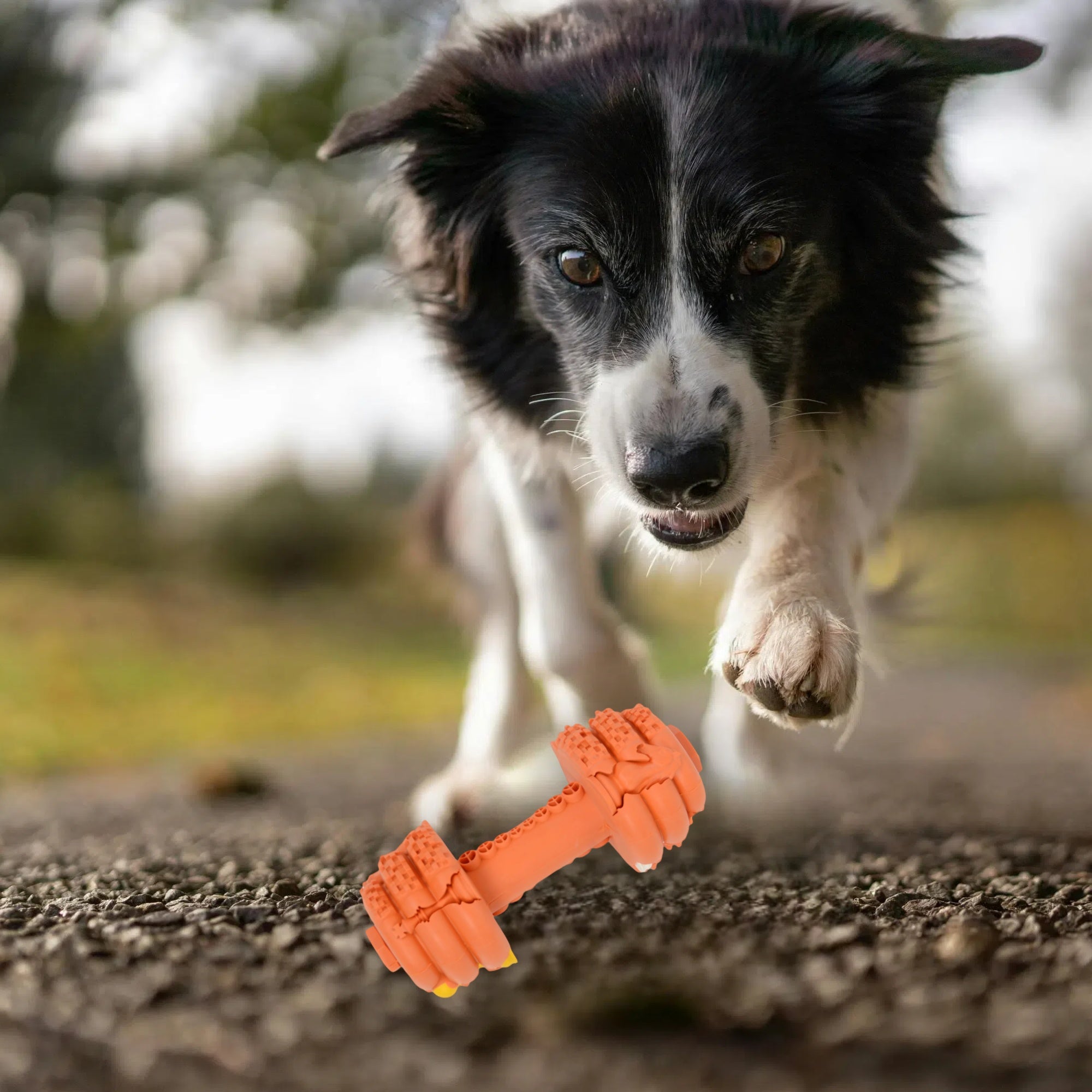 Alilang Dog Chew Toys for Aggressive Chewers Tough Durable Indestructible Dumbbell Toy for Large Medium Dogs