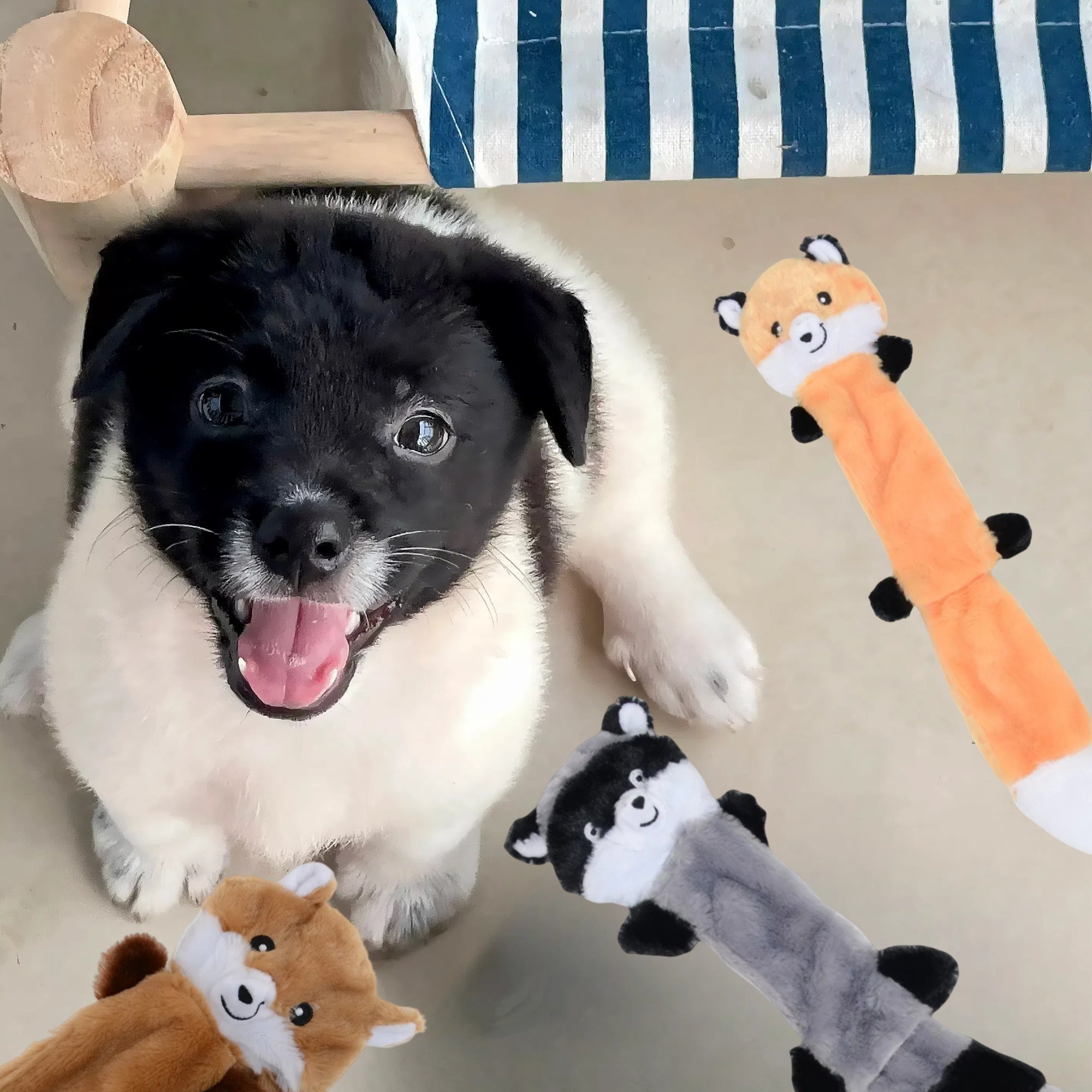 Alilang Dog Squeaky Plush Toy Set of 3 Raccoons Unstuffed Interactive Dog Toys for Small to Medium Dogs