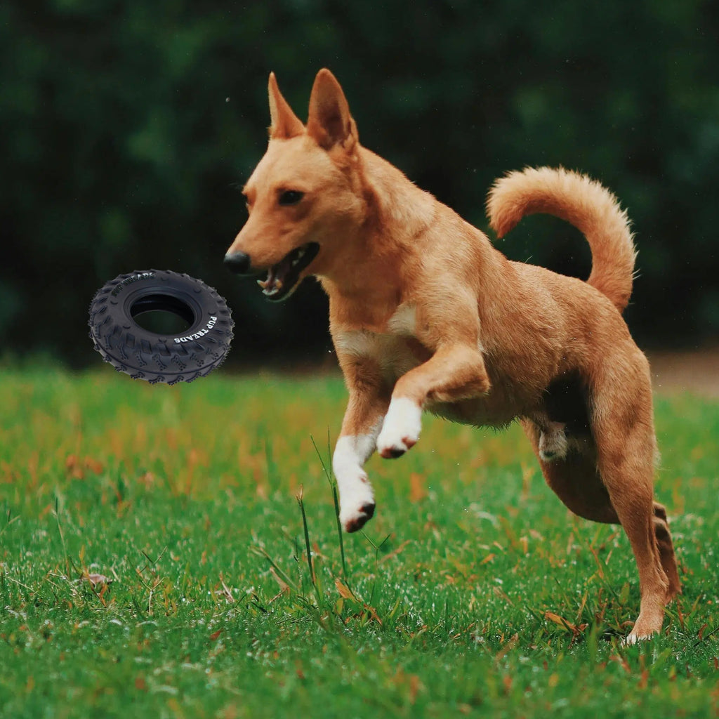 Alilang Durable Chew Tire Toy for Medium to Large Dogs - Interactive Rubber Design, Tough for Aggressive Chewers, 15cm Diameter