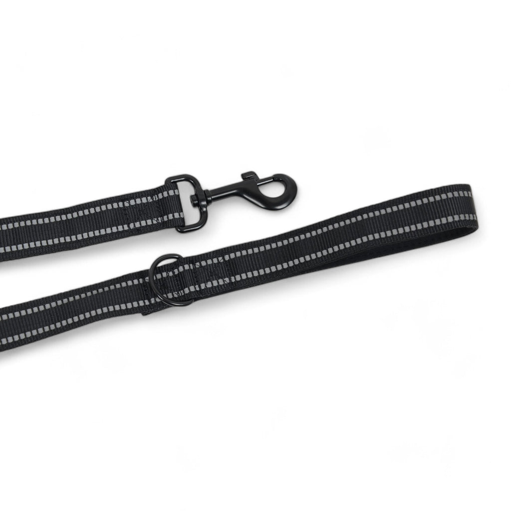 Alilang Reflective Dog Leash with Double Handle for Training and Control - Heavy Duty Nylon, 6ft Long, Soft Padded Grips for Comfort