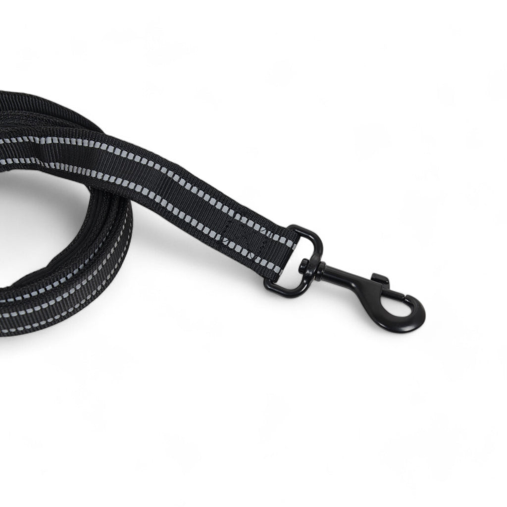 Alilang Reflective Dog Leash with Double Handle for Training and Control - Heavy Duty Nylon, 6ft Long, Soft Padded Grips for Comfort