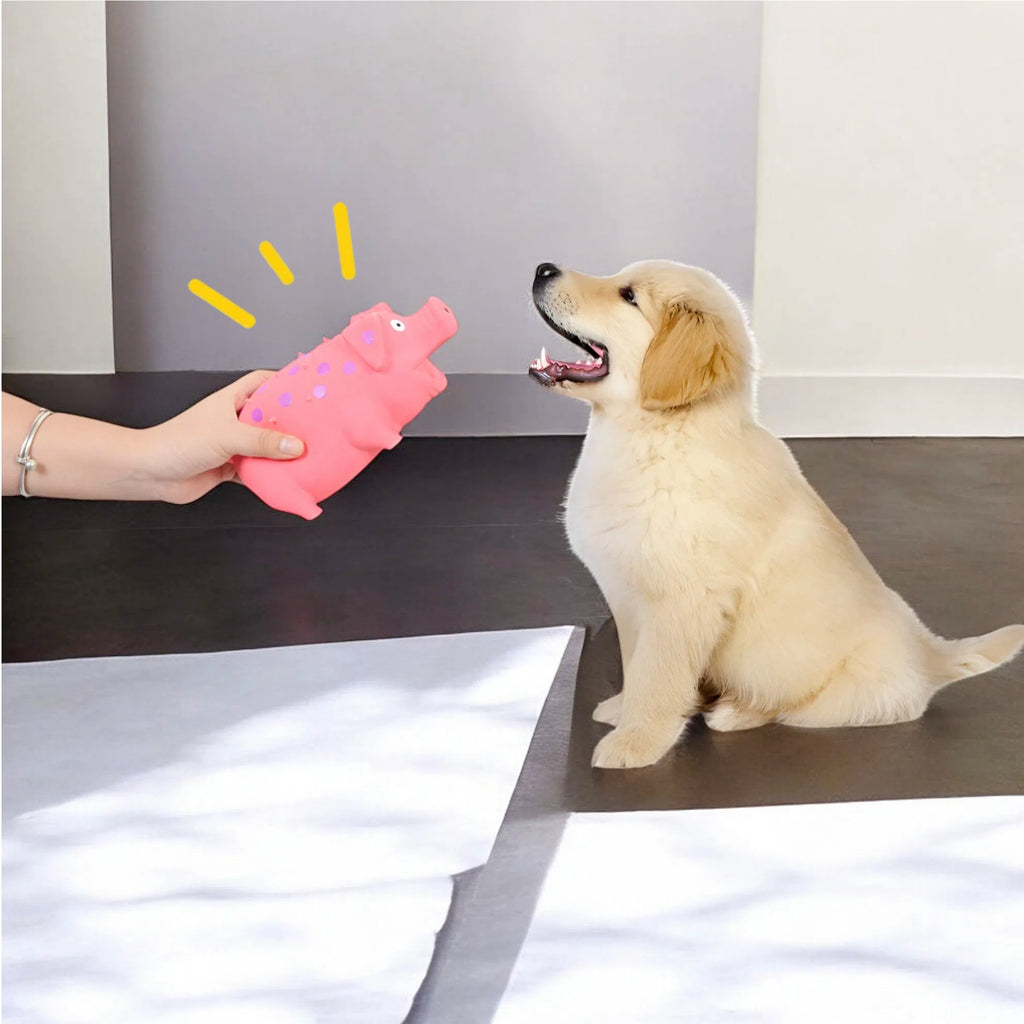 Alilang Colorful Squeaky Pig Dog Toys - Soft Rubber Animal Chew Toys for Interactive Play, Durable and Fun for Small to Medium Dogs