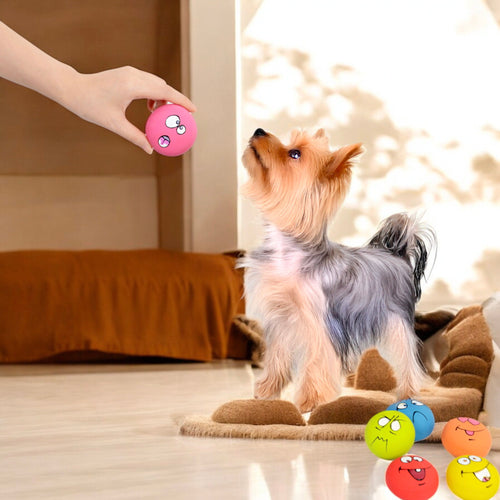 Alilang Pet Squeaky Latex Toy Set with Funny Faces Durable BPA-Free Eco-Friendly Design for Small and Medium Dogs