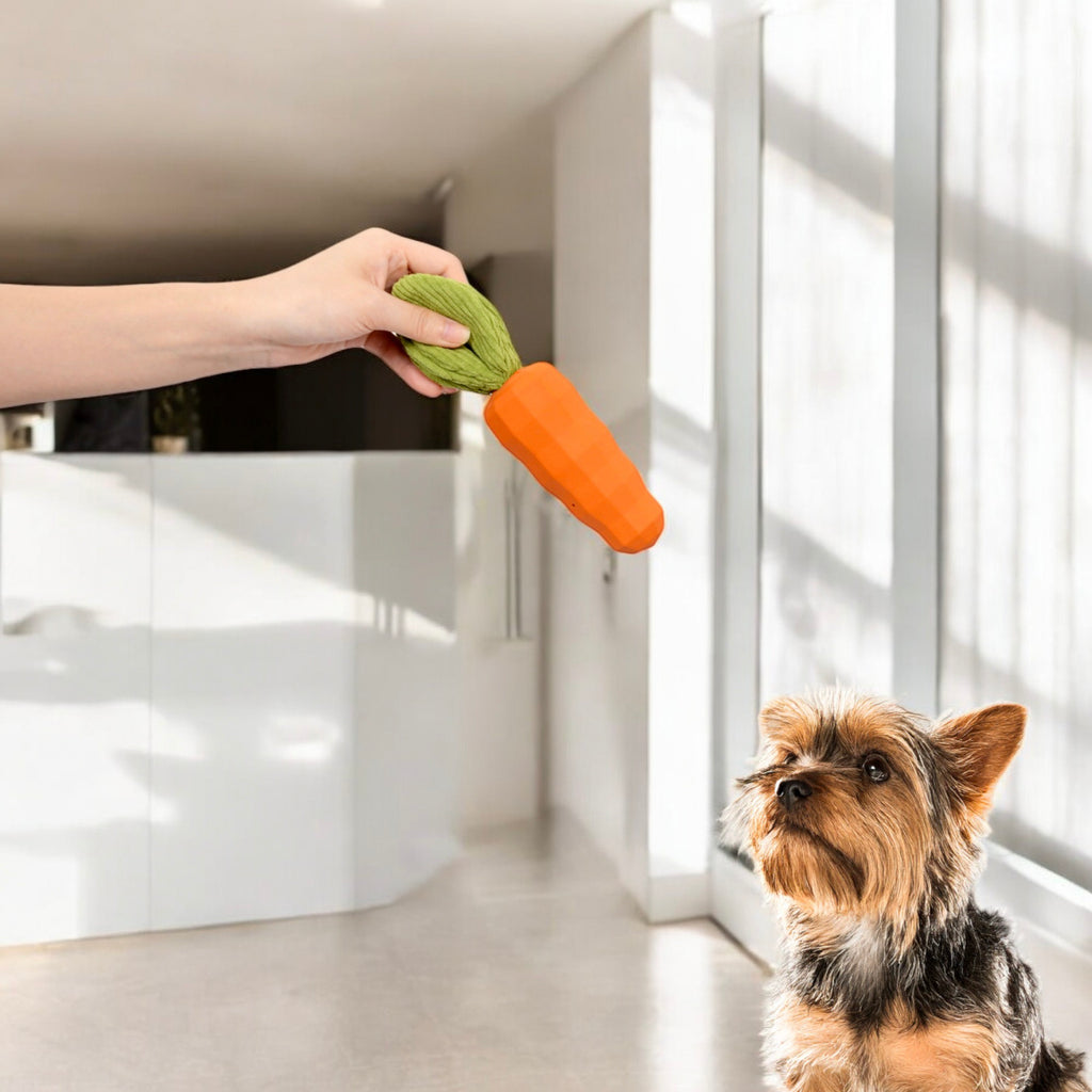 Alilang Interactive Squeaky Carrot Dog Toy Natural Rubber Durable Chew Toy with Crinkle Fabric for Playtime Fun