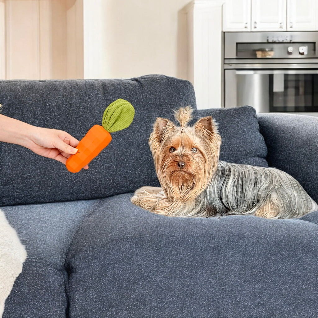Alilang Interactive Squeaky Carrot Dog Toy Natural Rubber Durable Chew Toy with Crinkle Fabric for Playtime Fun