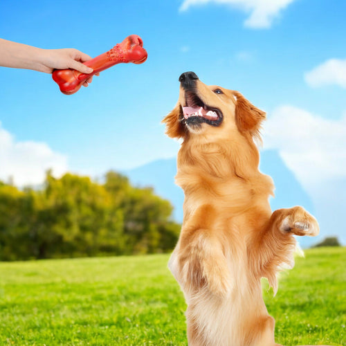 Alilang Interactive Dog Chew Bone Squeaker Natural Rubber Durable Design for Medium and Large Dogs