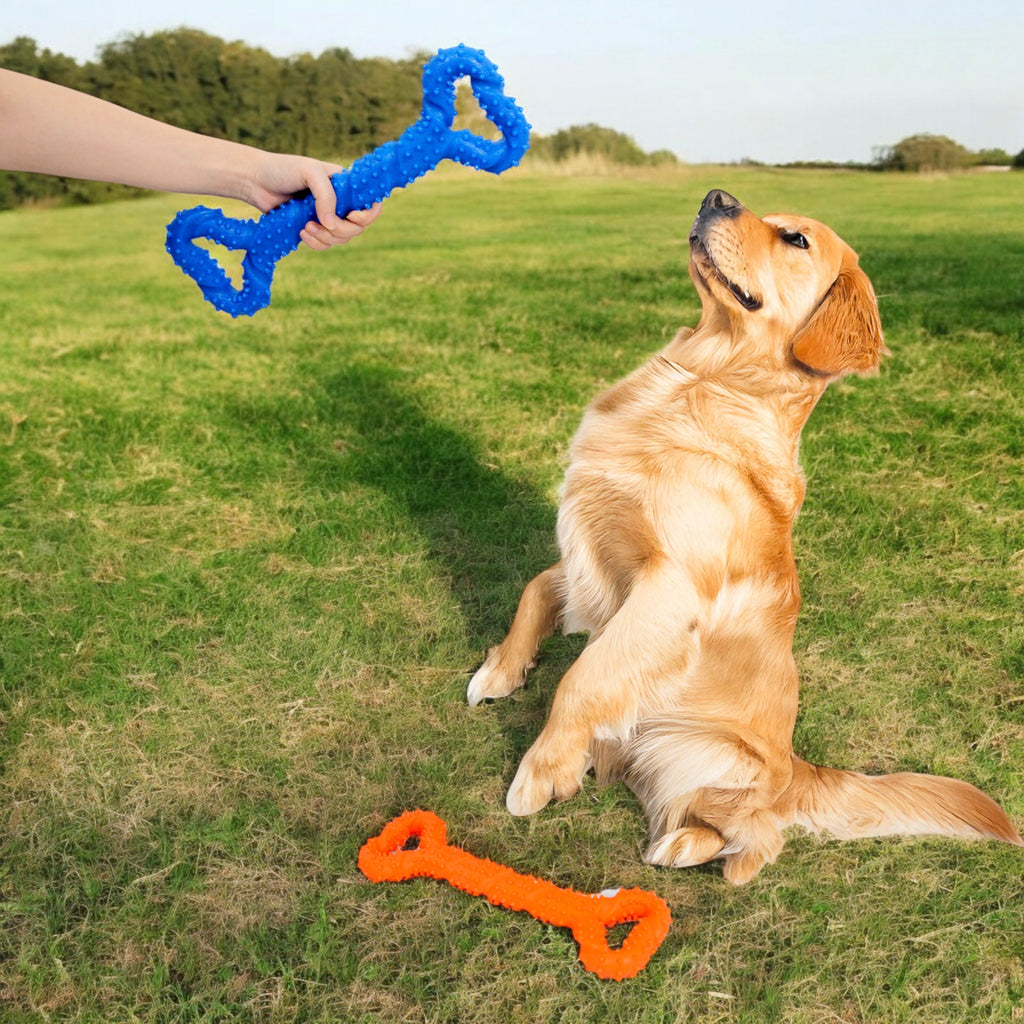 Alilang Durable Textured Chew Toy for Dogs with Double Handle Design TPR Material for Active Play and Dental Health