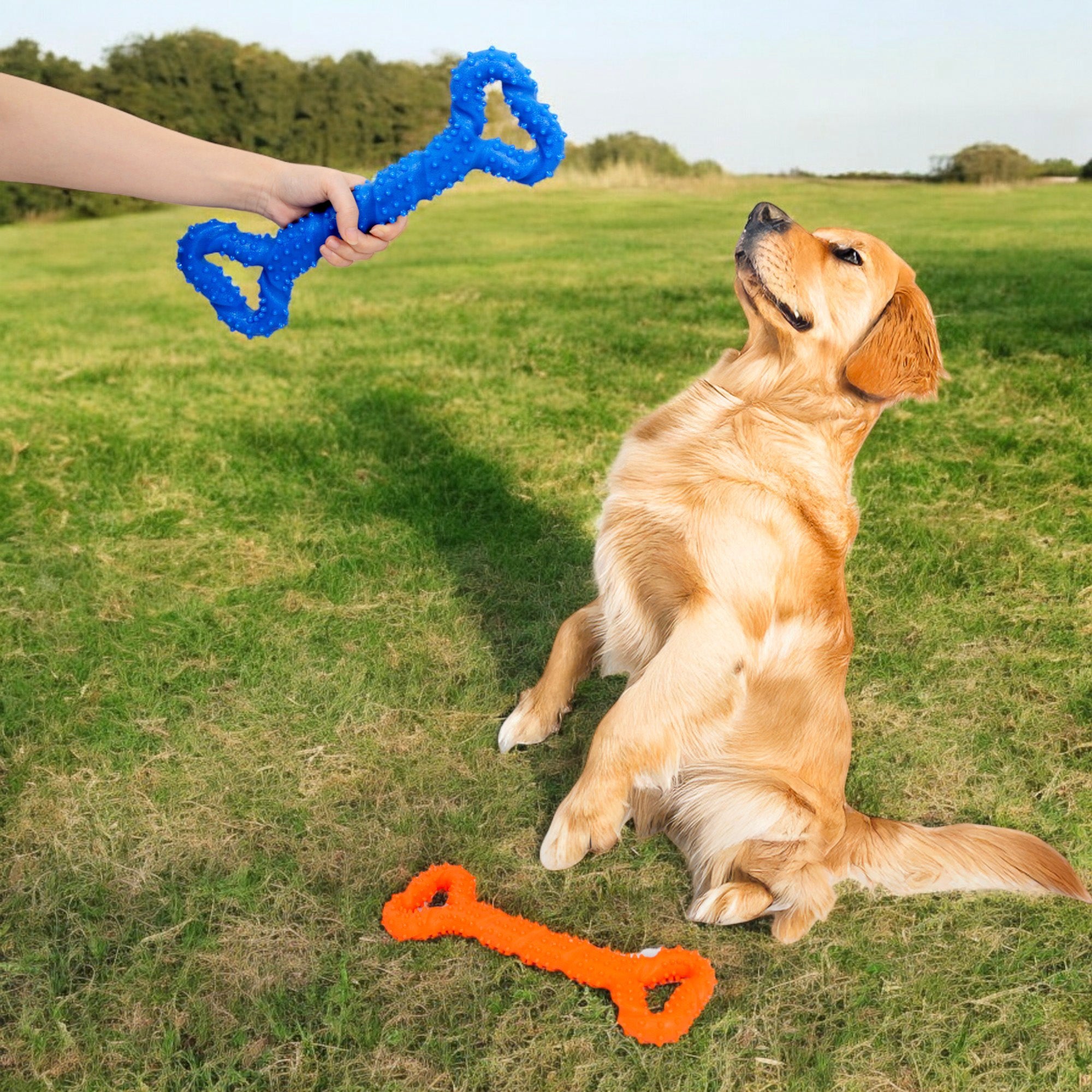 Alilang Durable Textured Chew Toy for Dogs with Double Handle Design TPR Material for Active Play and Dental Health