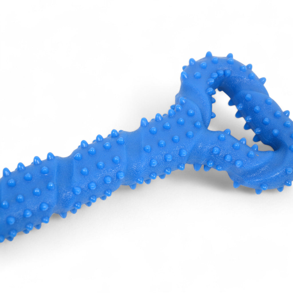 Alilang Durable Textured Chew Toy for Dogs with Double Handle Design TPR Material for Active Play and Dental Health