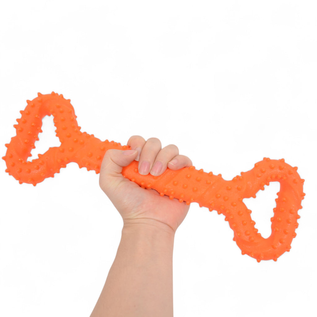 Alilang Durable Textured Chew Toy for Dogs with Double Handle Design TPR Material for Active Play and Dental Health