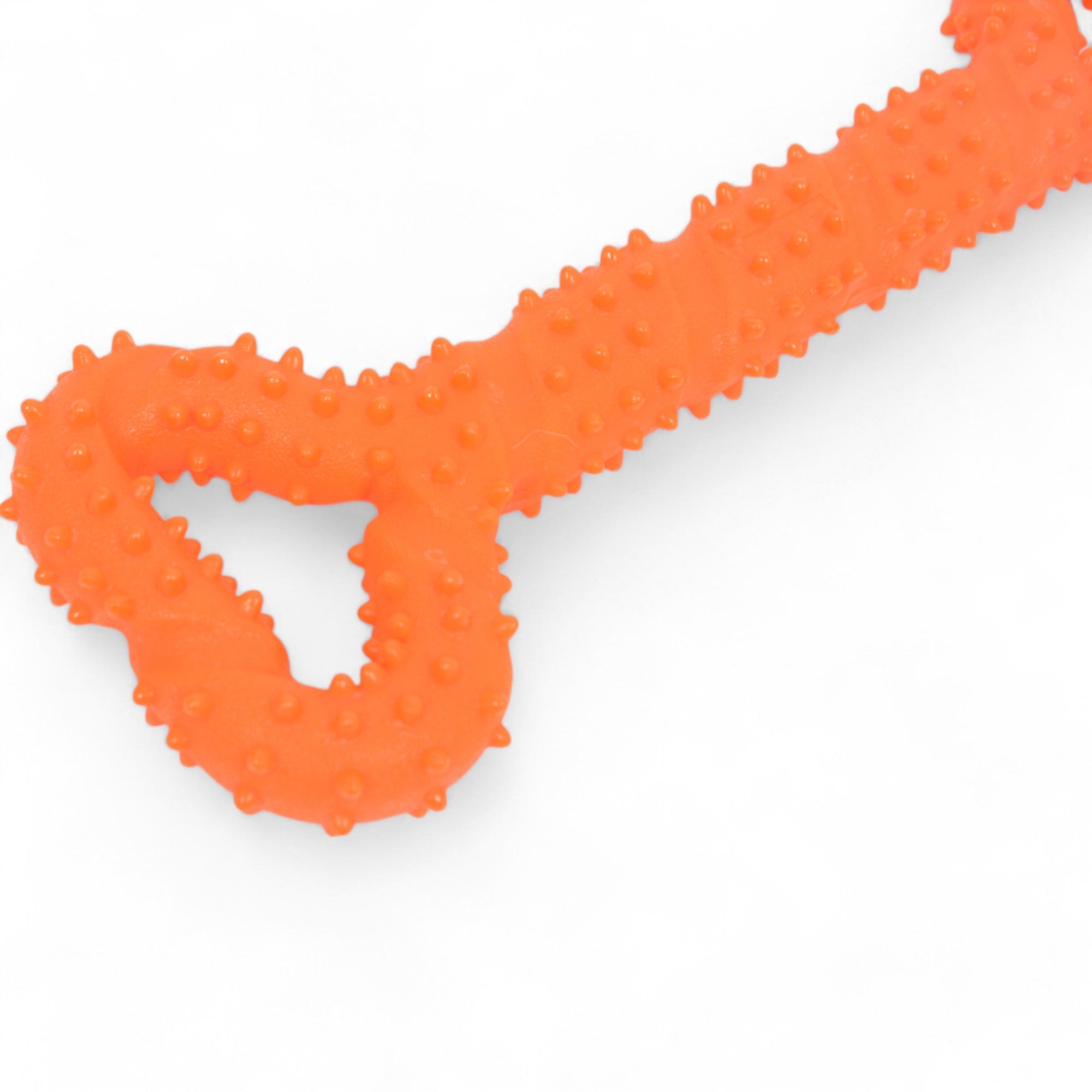 Alilang Durable Textured Chew Toy for Dogs with Double Handle Design TPR Material for Active Play and Dental Health