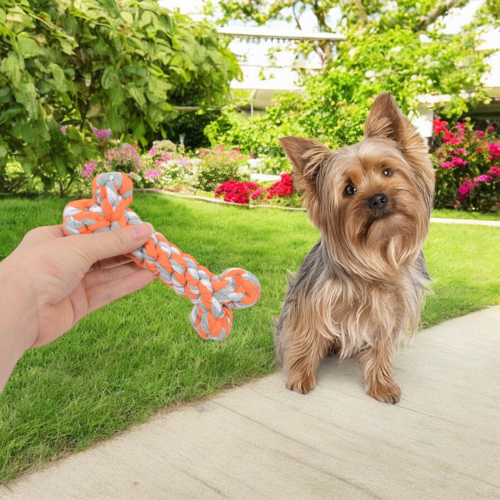 Dog Rope Toy Set Five Durable Chew Toys with Carrot Octopus Bone and Ball Designs for Small to Medium Dogs, 5 Pack