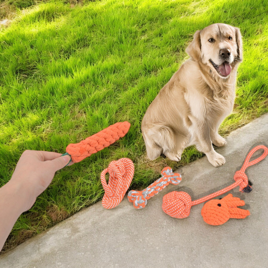 Dog Rope Toy Set Five Durable Chew Toys with Carrot Octopus Bone and Ball Designs for Small to Medium Dogs, 5 Pack